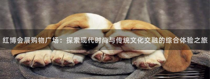 果博平台开户电话查询：红博会展购物广场：探索现代时尚与传统文化交融的综合体验之旅