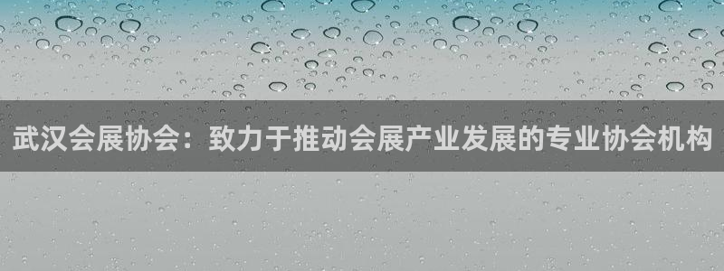 果博公司会员怎么开户：武汉会展协会：致力于推动会展产业发展的专业协会机构