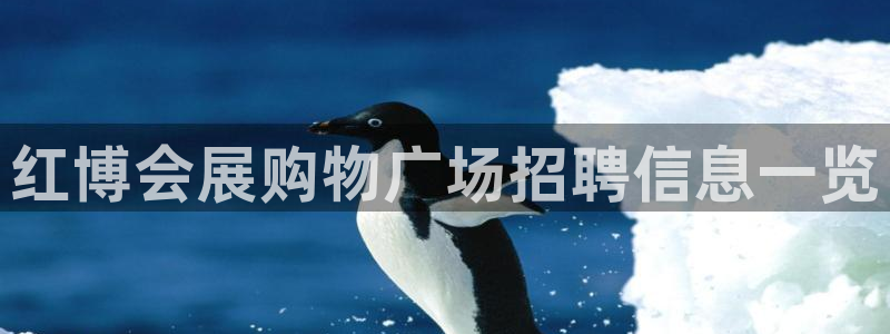 果博公司开户热线