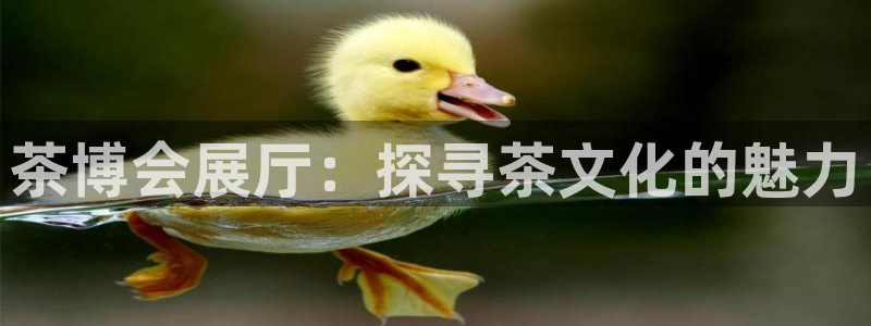 果博公司怎么注册会员