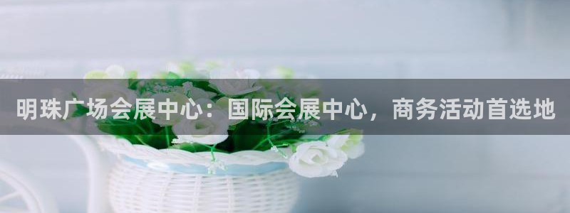 苹果电脑可以下载博易大师吗