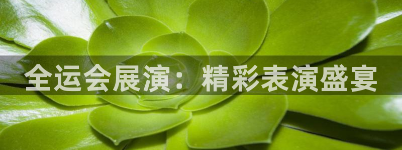 果博平台真实吗知乎：全运会展演：精彩表演盛宴