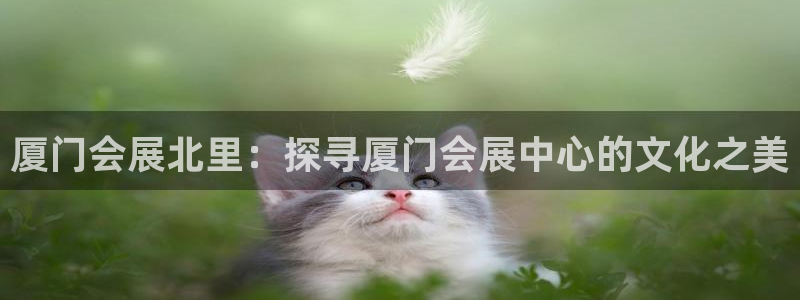 果博手机版下载