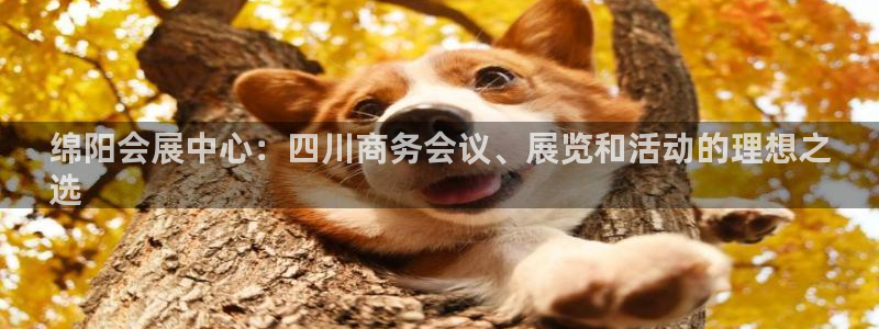 果博注册会员要钱吗