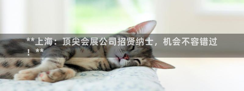 果博集团