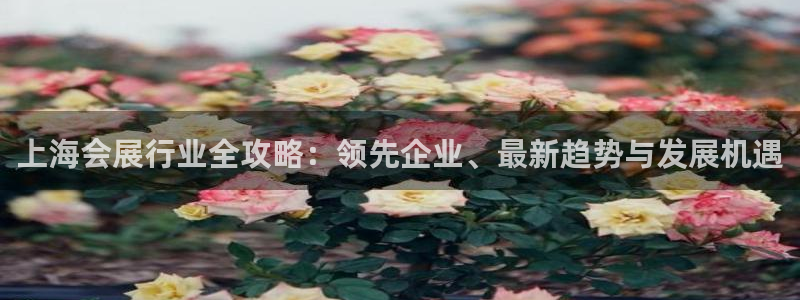 果博平台开户电话：上海会展行业全攻略：领先企业、最新趋势与发展机遇
