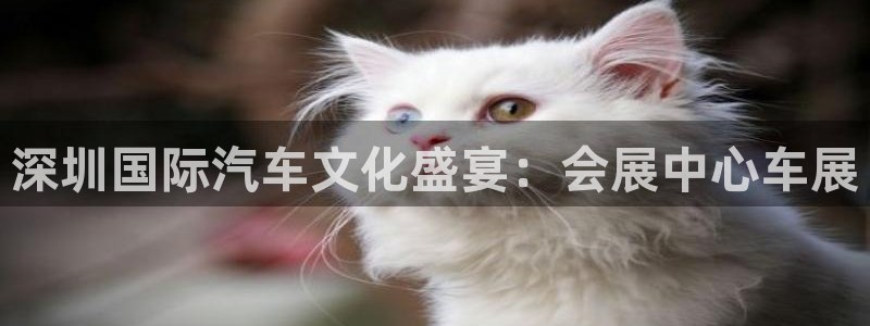果博注册会员维wckk389：深圳国际汽车文化盛宴：会展中心车展