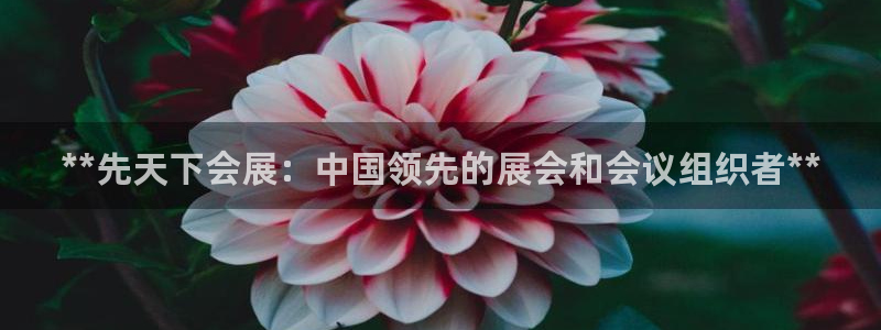 果博官方：**先天下会展：中国领先的展会和会议组织者**