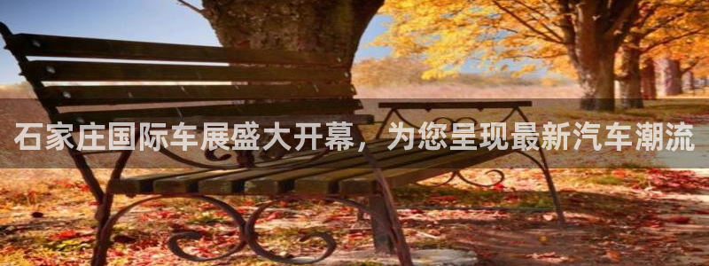 果博账号注册要钱吗：石家庄国际车展盛大开