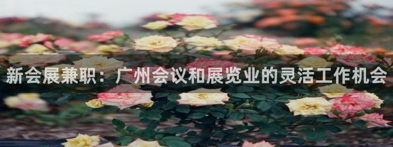 果博公司客服微信怎么加：新会展兼职：广州会议和展览业的灵活工作机会