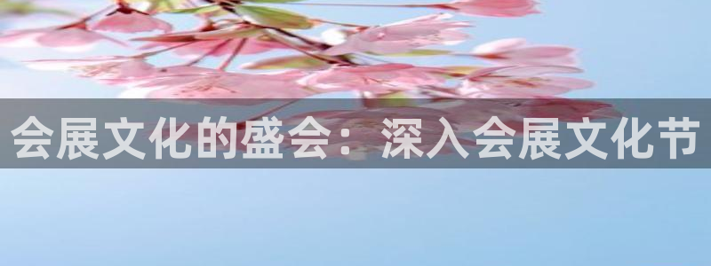 果博官方热线：会展文化的盛会：深入会展文