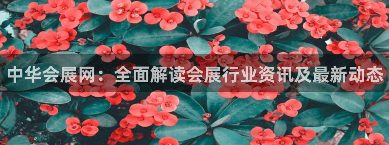 果博平台开户电话是多少：中华会展网：全面解读会展行业资讯及最新动态