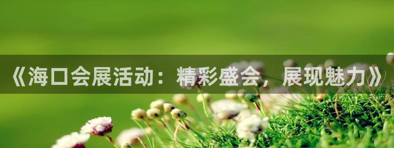 果博东官方网站怎么下载：《海口会展活动：