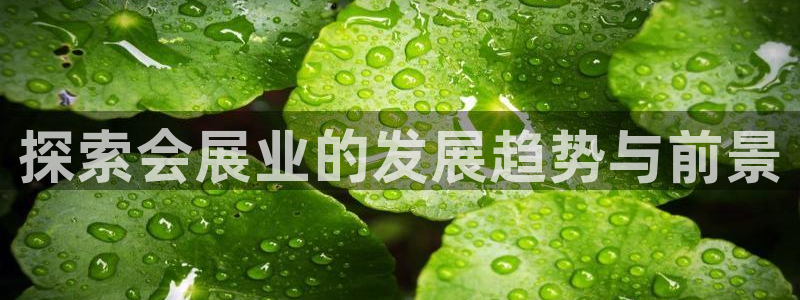 果博平台真实吗安全吗是真的吗：探索会展业