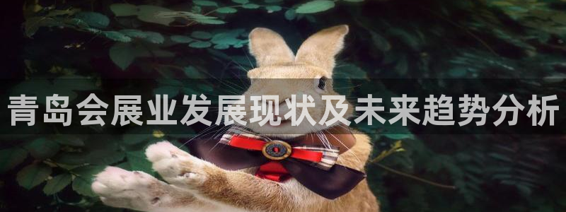 苹果电脑可以下载博易大师吗：青岛会展业发展现状及未来趋势分析