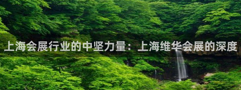 果博注册：上海会展行业的中坚力量：上海维华会展的深度