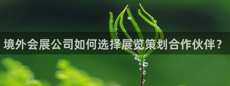 果博公司会员注册账号开户：境外会展公司如