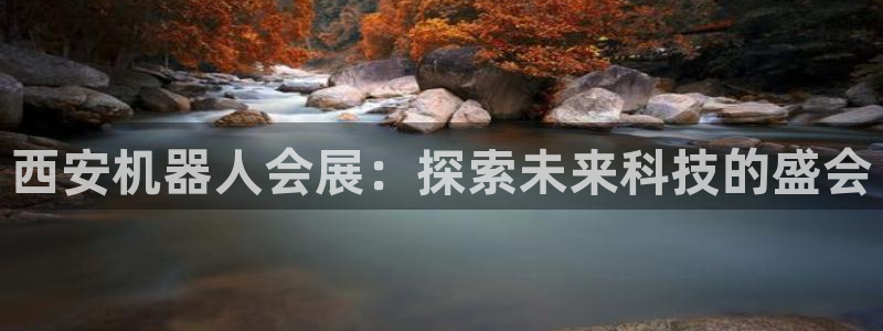 果博公司会员注册：西安机器人会展：探索未