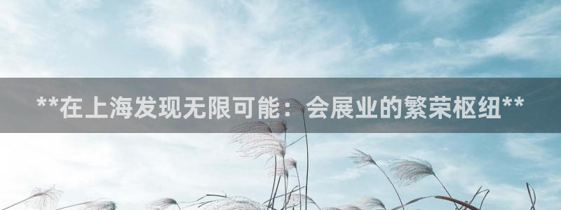 果博代理：**在上海发现无限可能：会展业的繁荣枢纽**