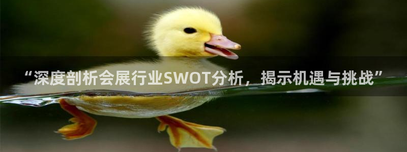 果博平台链接：“深度剖析会展行业SWOT分析，揭示机遇与挑战”