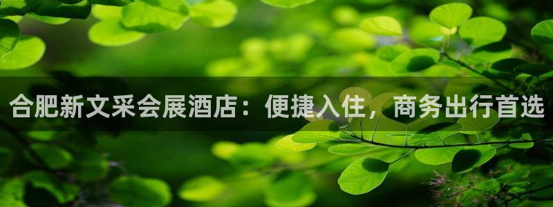 果博注册平台怎么注册：合肥新文采会展酒店：便捷入住，商务出行首选