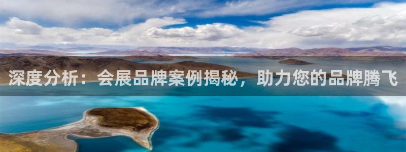 果博官网：深度分析：会展品牌案例揭秘，助力您的品牌腾飞