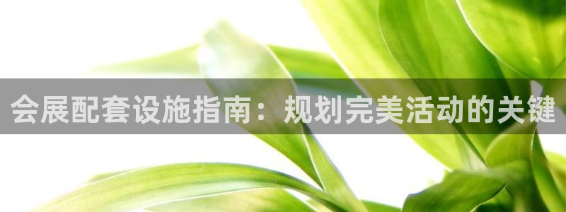 果博平台真实吗安全吗可靠吗：会展配套设施指南：规划完美活动的关键