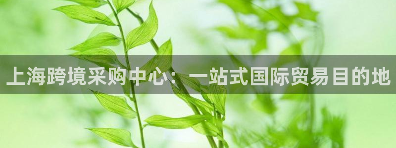 果博注册客服电话是多少啊：上海跨境采购中心：一站式国际贸易目的地