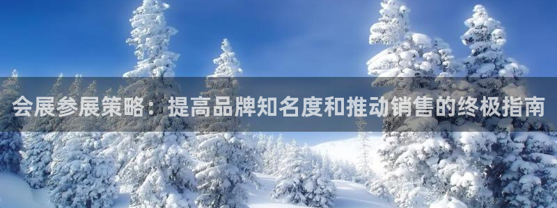 电脑怎么下载果考网：会展参展策略：提高品
