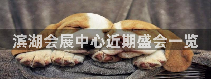 果博公司开户热线：滨湖会展中心近期盛会一
