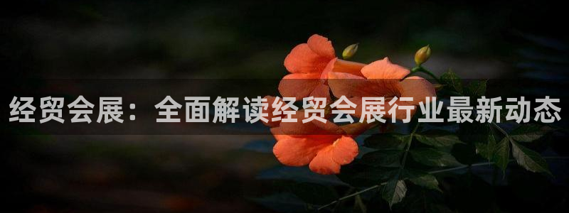 果博东手机版下载开户：经贸会展：全面解读