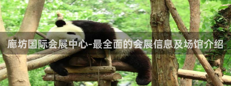 果博账号注册：廊坊国际会展中心-最全面的会展信息及场馆介绍