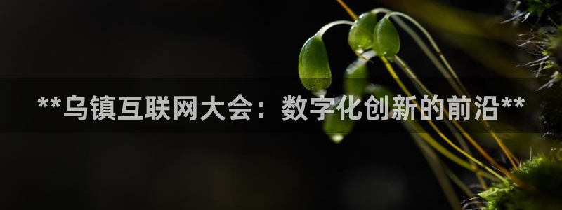 果博app官网下载：**乌镇互联网大会：