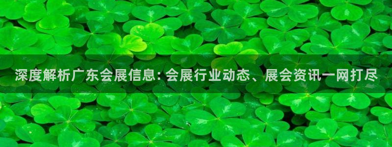果博公司客服微信号是多少：深度解析广东会