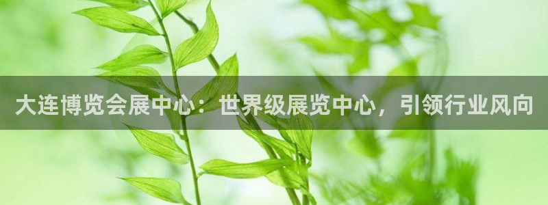 果博公司会员注册账号开户：大连博览会展中心：世界级展览中心，引领行业风向