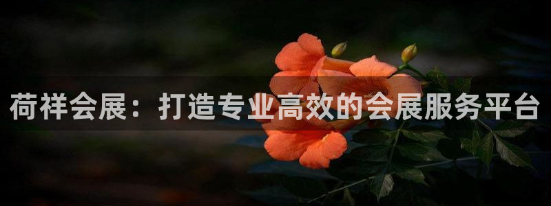 果博东手机版下载开户：荷祥会展：打造专业高效的会展服务平台