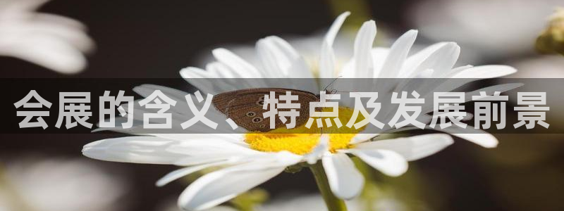 果博公司游戏网址：会展的含义、特点及发展