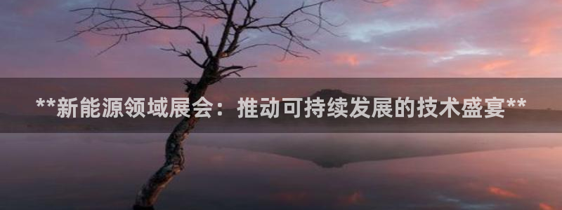 果博网站二维码：**新能源领域展会：推动可持续发展的技术盛宴**