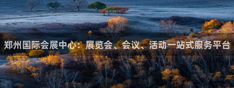 果博服务电话：郑州国际会展中心：展览会、会议、活动一站式服务平台