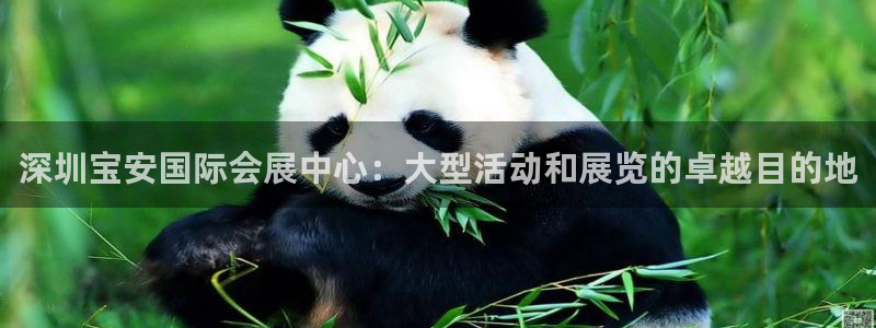 果博注册会员维wckk389：深圳宝安国
