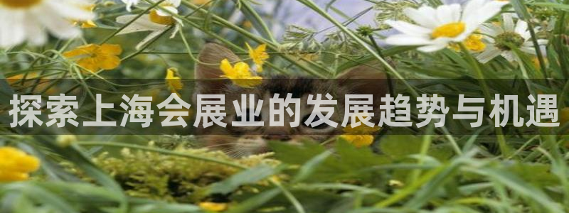 果博注册链接：探索上海会展业的发展趋势与