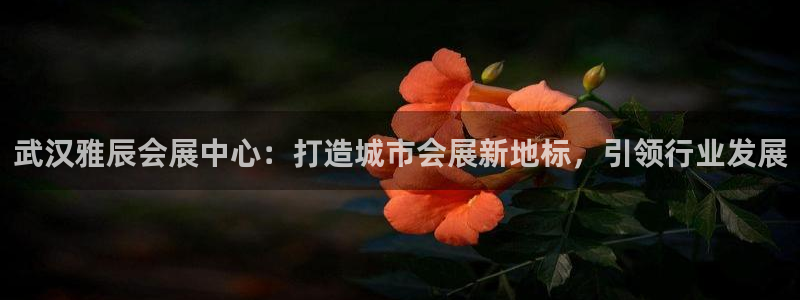 果博电话：武汉雅辰会展中心：打造城市会展
