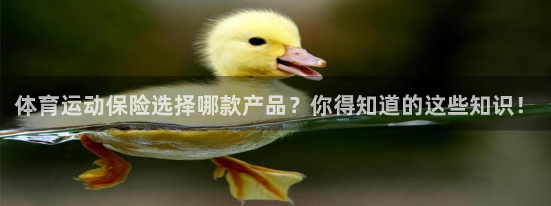 ug环球官网登录入口