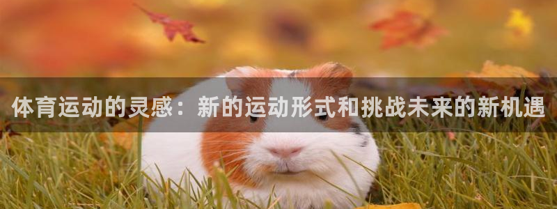 ug环球官网登录入口