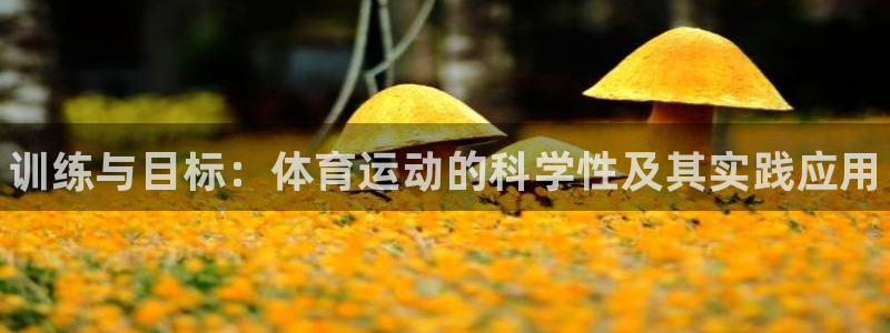 ug环球官网