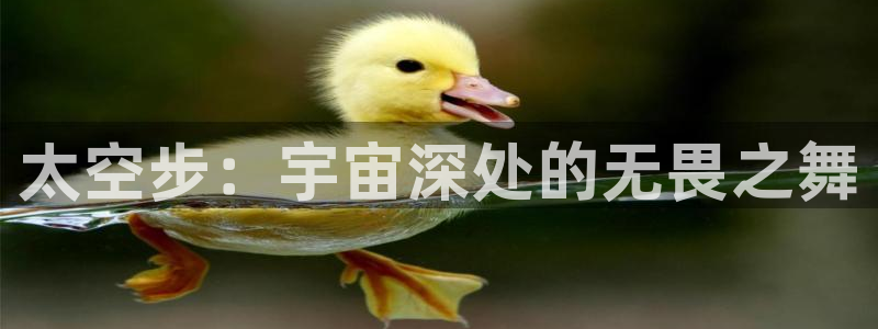 ug环球官网注册
