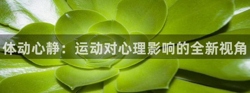 菲律宾ug环球官网