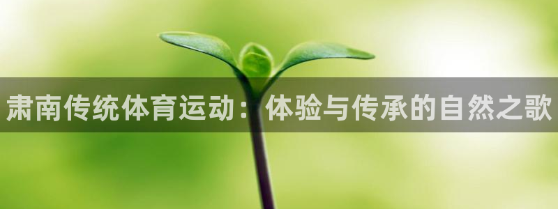 ug环球官网登录入口