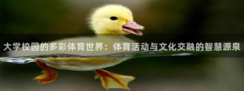 ug环球官网登录入口