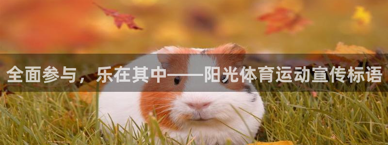 ug环球官网登录入口